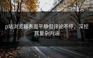 p站浏览器表面平静但评论不停，深挖其复杂内涵