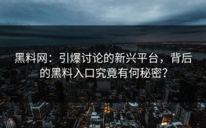 黑料网：引爆讨论的新兴平台，背后的黑料入口究竟有何秘密？