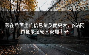藏在角落里的信息量反而更大，p站网页登录这轮又被翻出来