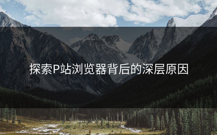 探索P站浏览器背后的深层原因
