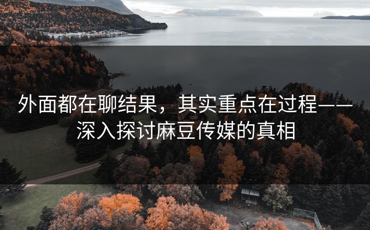 外面都在聊结果，其实重点在过程——深入探讨麻豆传媒的真相