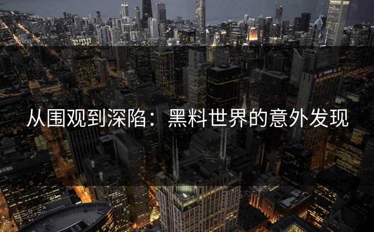 从围观到深陷:黑料世界的意外发现 从围观到深陷:黑料世界的意外发现